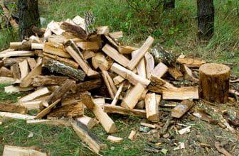 Brennholz
