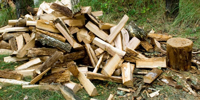 Warum Brennholz nicht schlecht für das Klima ist